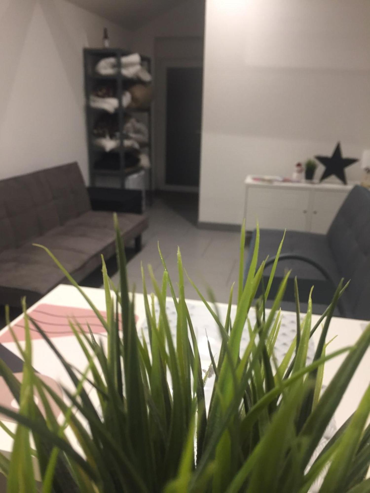 Le Megeve Apartment Sainte-Croix-en-Plaine